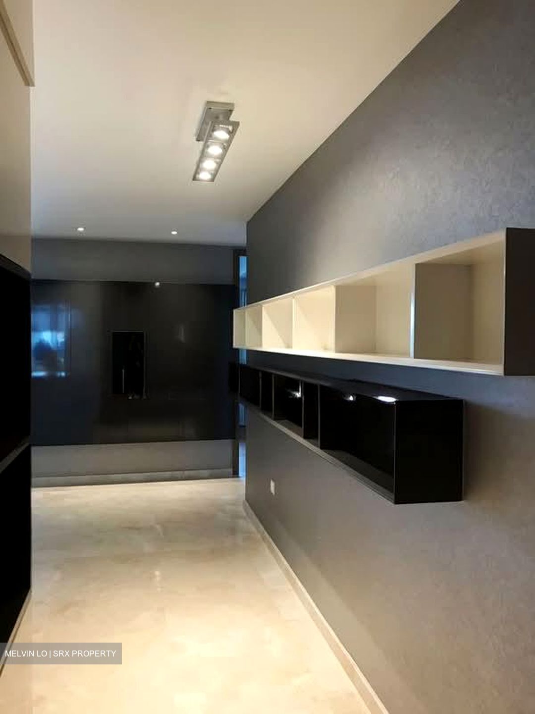 V On Shenton (D1), Apartment #547095821